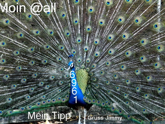 478.DAX Tipp-Spiel, Freitag, 23.02.07 84588