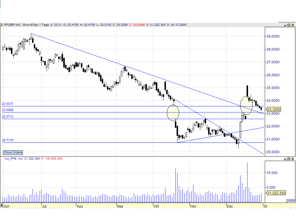 DOW & NASDAQ Einzelwertetrading 24363