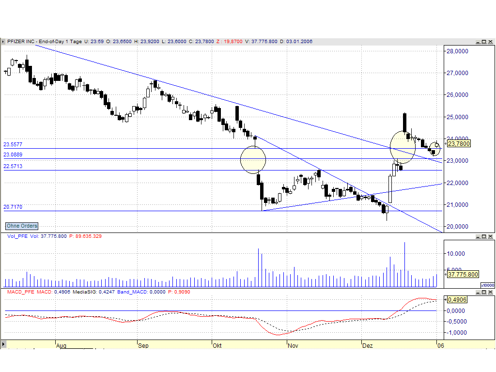 DOW & NASDAQ Einzelwertetrading 24514