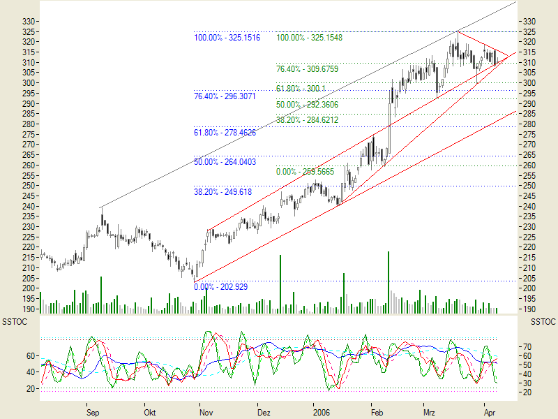 Adidas vs. Puma 69784