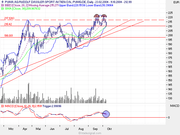 Puma mit Doppeltop? 1845