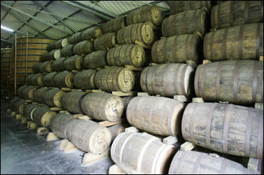 Thompson Creek Metals (Blue Pearl Mng) 97429