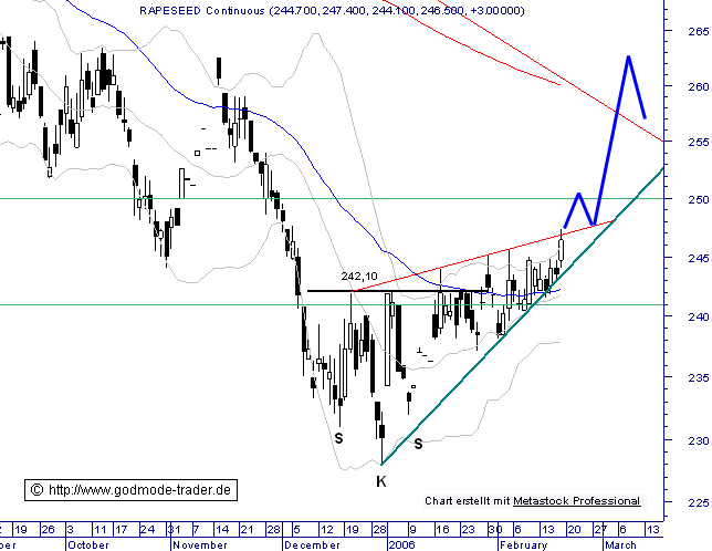 auch interessant: RAPS!! 31008