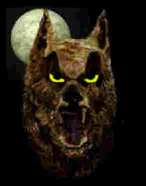 Der Crash kommt! 96681