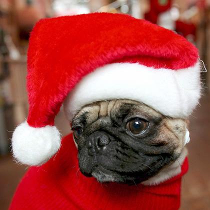 Die  Dreierfusion  73019