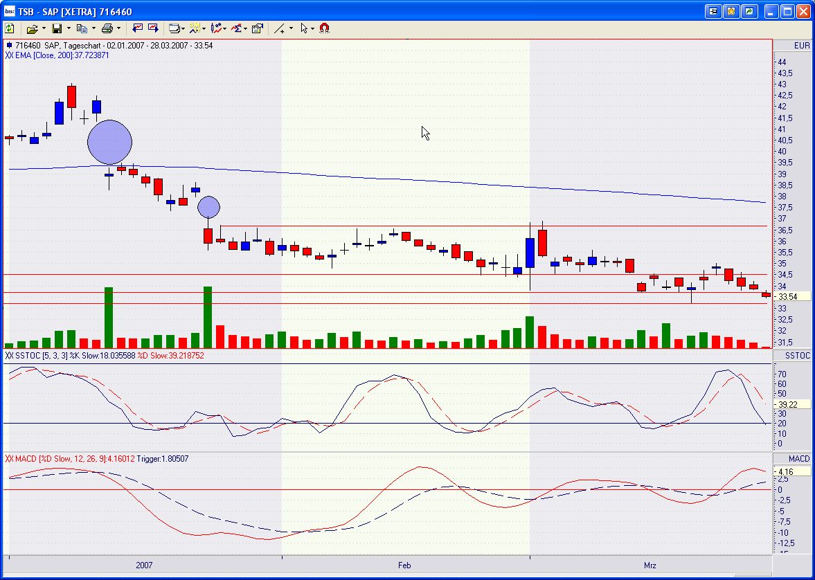 SAP für Börsenfan 90168
