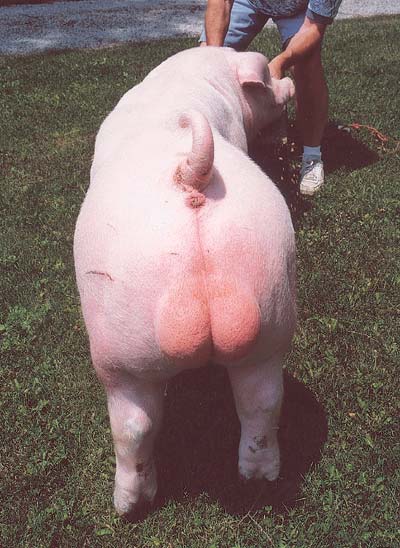 Kann man durch Börse seinen HUMOR verlieren? 49002