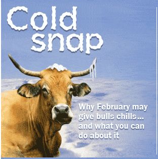 Der Doomsday Bären-Thread 80923