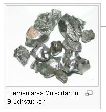 Der Doomsday Bären-Thread 67359