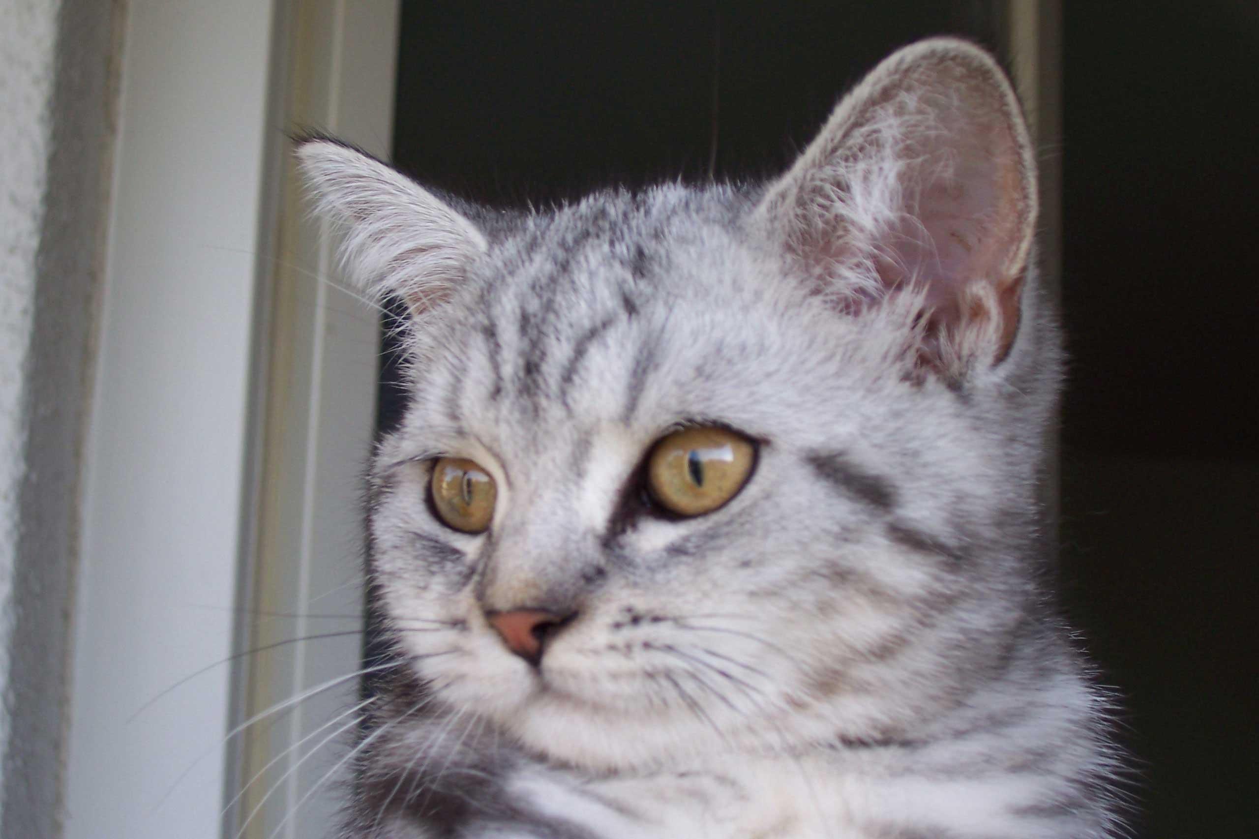 Thompson Creek Metals 74849