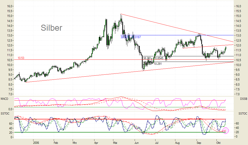 Silberpeis in 2 Jahren? 62281