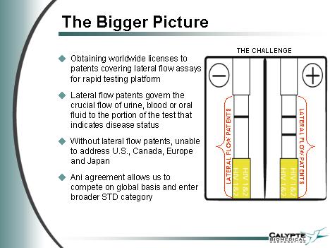 Calypte und die Zeit nach AIDS2004 in Bangkok 1924