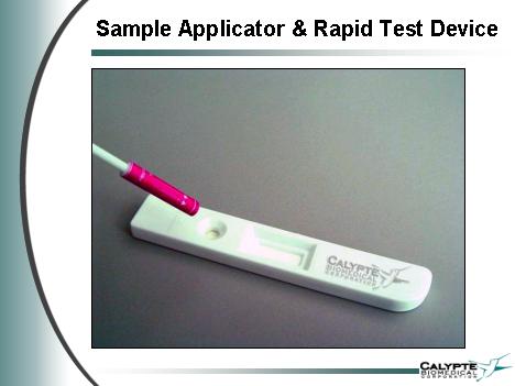Calypte und die Zeit nach AIDS2004 in Bangkok 1770
