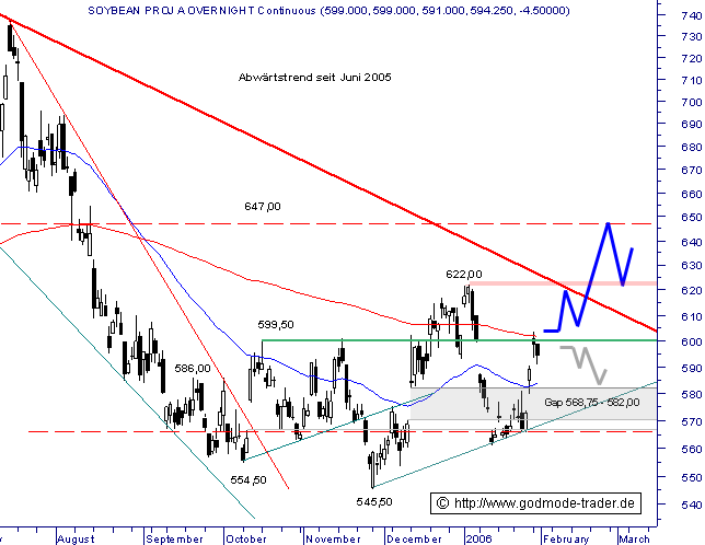 Soyabohnen long - könnte man riskieren 28443