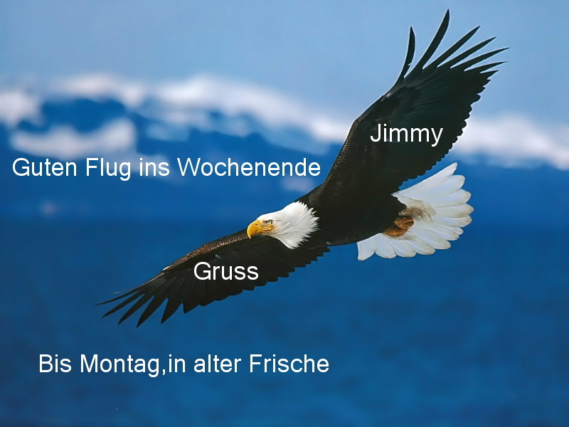 453.DAX Tipp-Spiel, Freitag, 19.01.07 78196