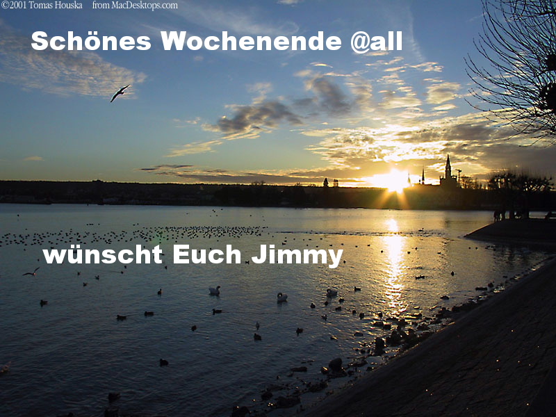 406.DAX Tipp-Spiel, Freitag, 10.11.06 66384