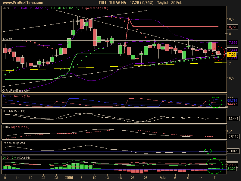 WM Profiteur Deutschland 30333