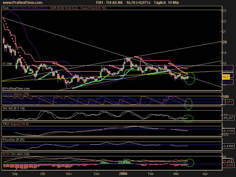 WM Profiteur Deutschland 33080