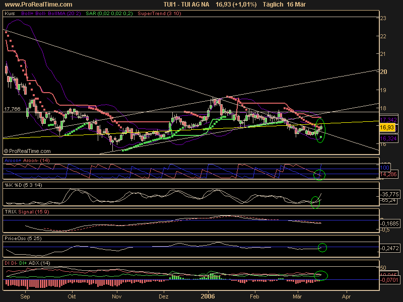 WM Profiteur Deutschland 33355