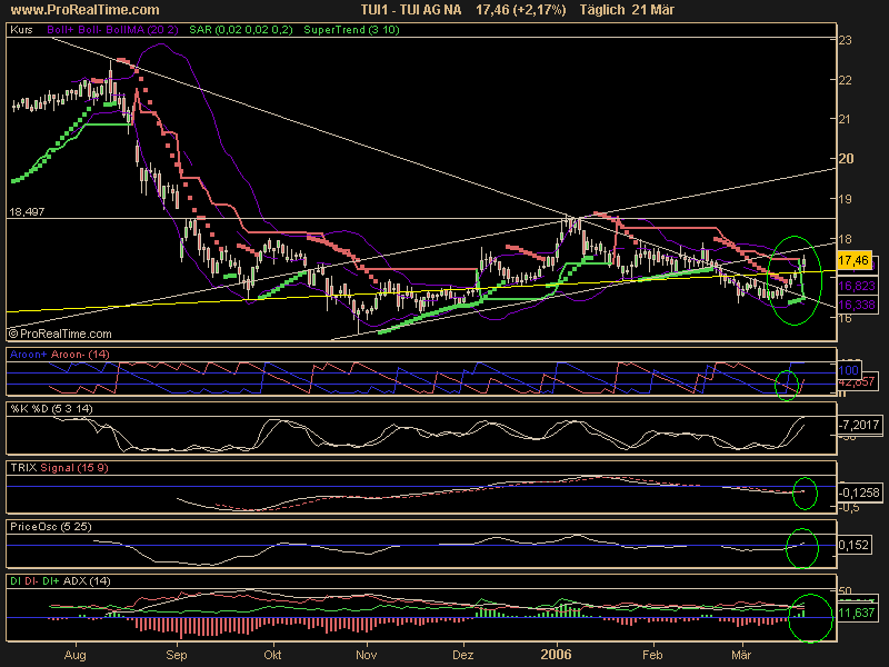 WM Profiteur Deutschland 33943