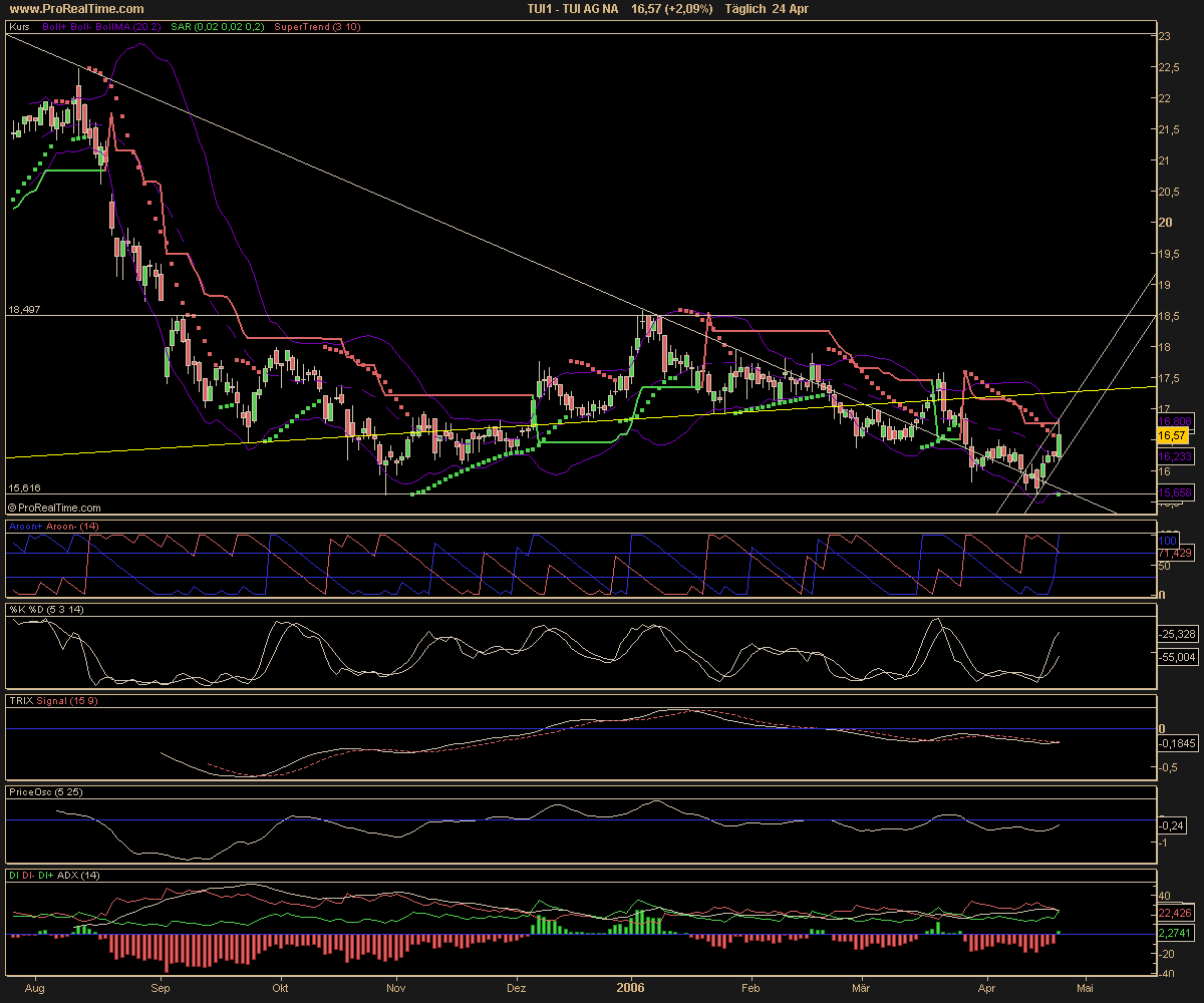 WM Profiteur Deutschland 38283