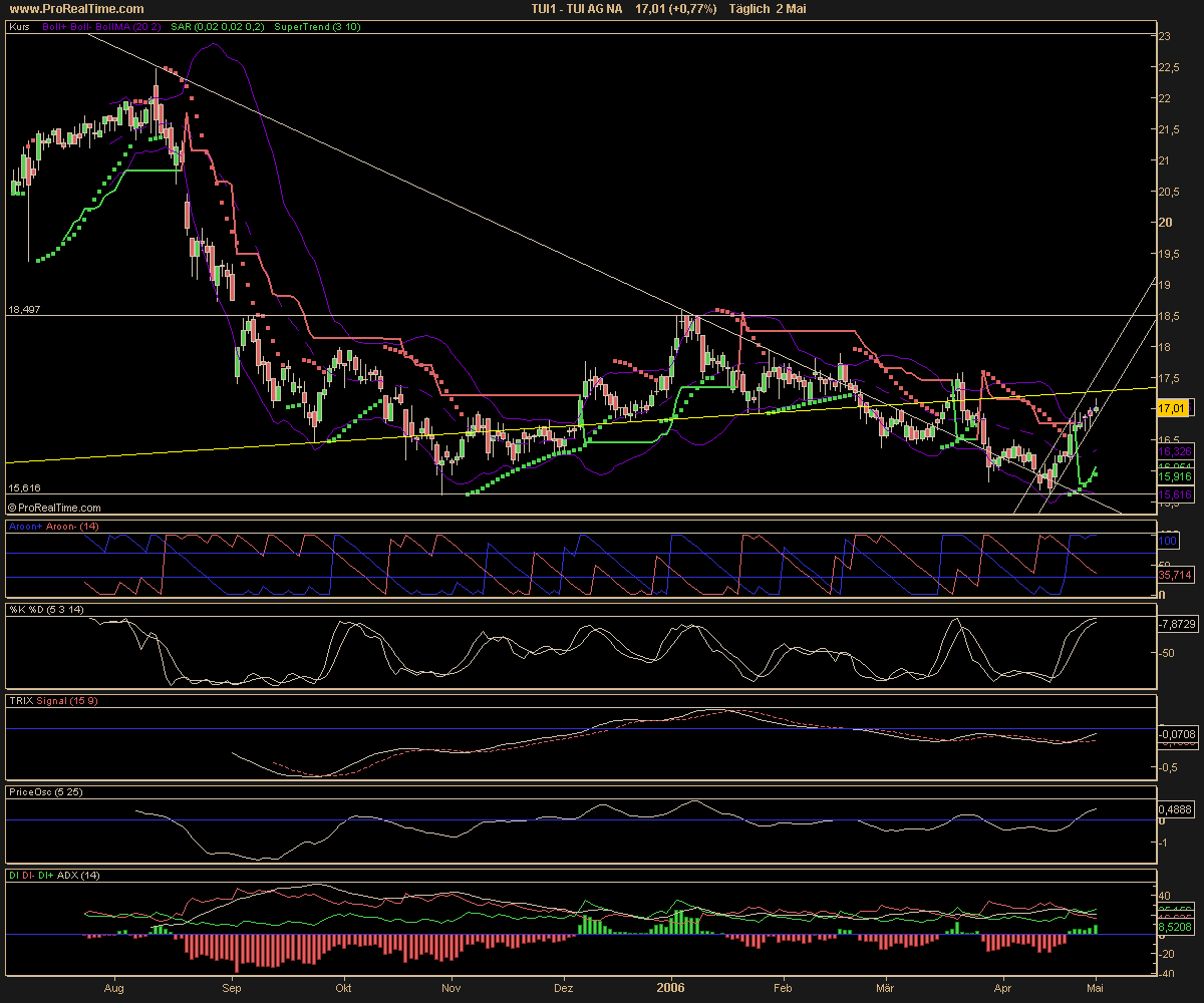 WM Profiteur Deutschland 39133