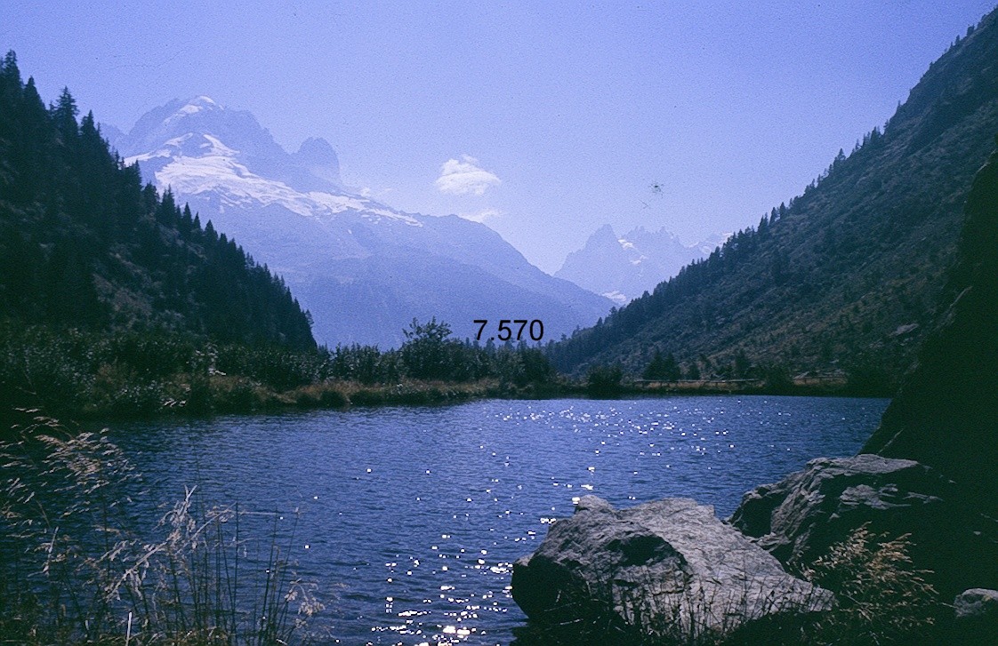 551.DAX Tipp-Spiel, Dienstag, 12.06.07 103048