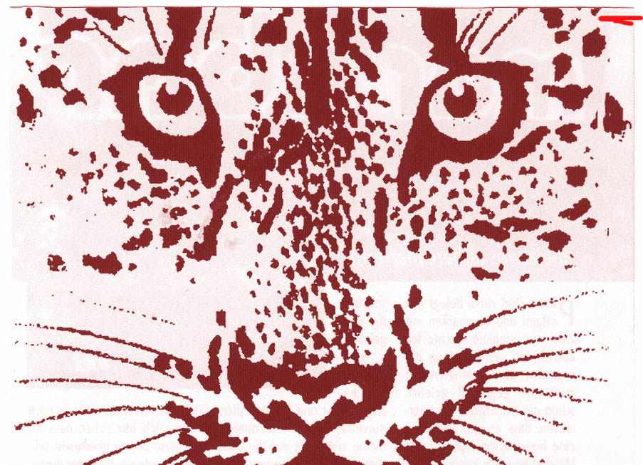 Kobex sollte in keinem Molybdenum-Portfolio fehlen 95981