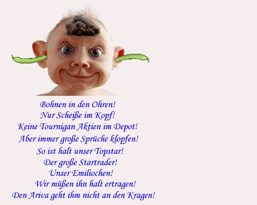 Tournigan SOFORT verkaufen!! 10454