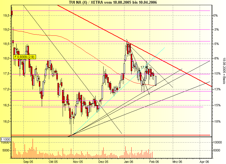 WM Profiteur Deutschland 29081
