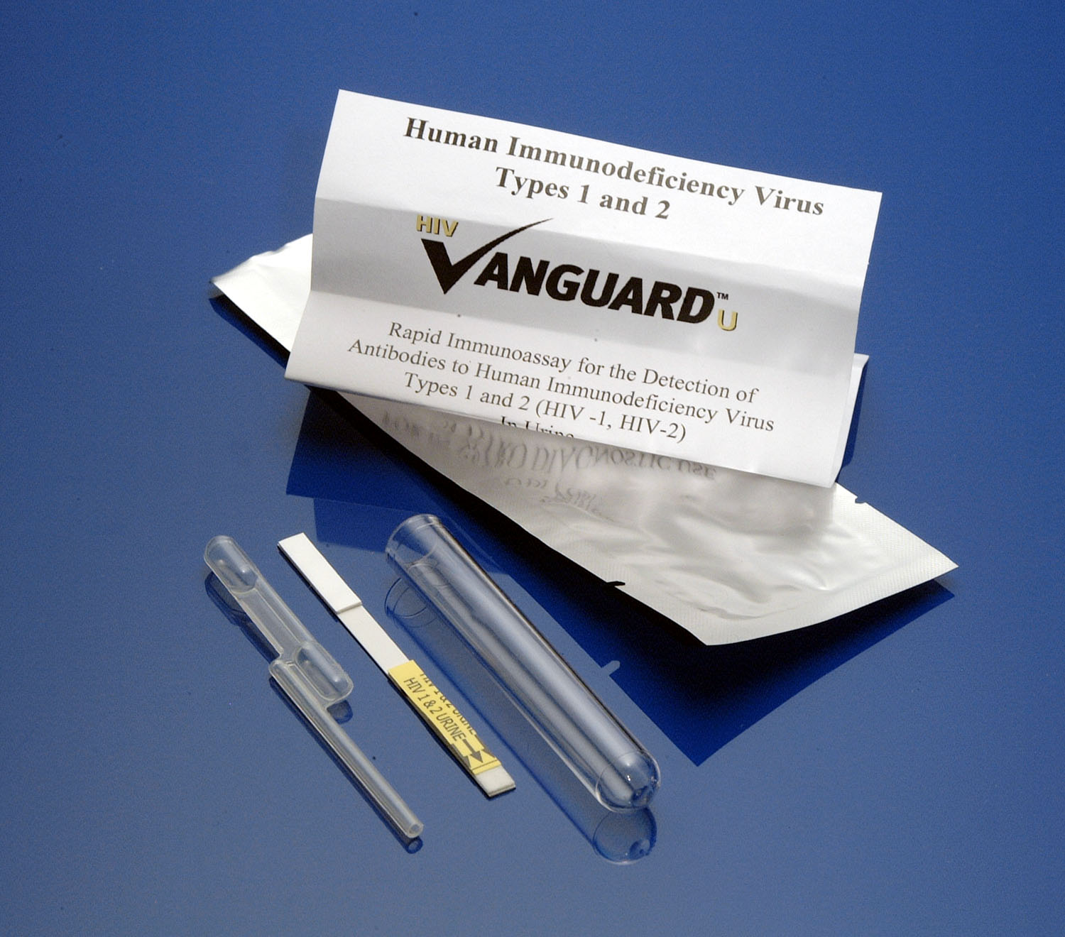 Calypte und die Zeit nach AIDS2004 in Bangkok 1375