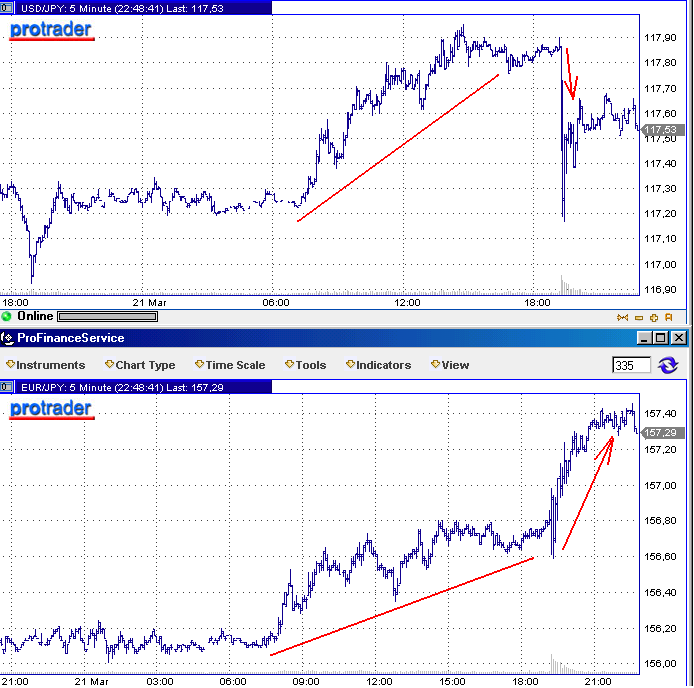 Der USA Bären-Thread 88899