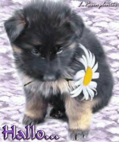 f-h Oni BW sb & Friends-TTT, Montach 25.10.04 2115