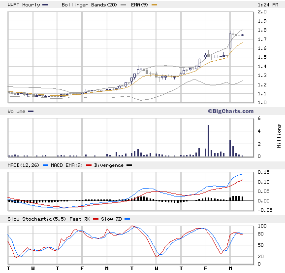 ein ökologischer Pennywert mit rasantem Wachstum 106680