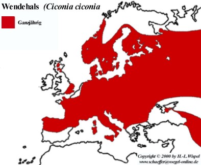 Echt nicht Schlecht-Fenstersolarzellen 27108