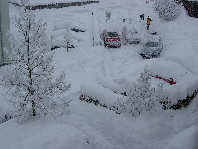 100 % Anstieg binnen 12 Monaten ab jetzt 31889