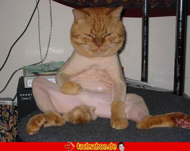 G.I.B A0HHA8 Die Chance um richtig Geld zu verd.. 106471