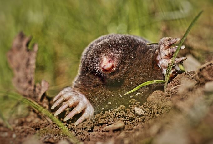 COMMERZBANK kaufen Kz. 28 € 1267076