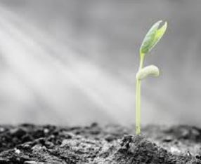 COMMERZBANK kaufen Kz. 28 € 1311999