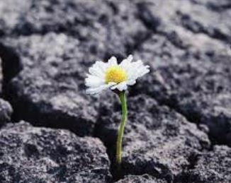 COMMERZBANK kaufen Kz. 28 € 1312165