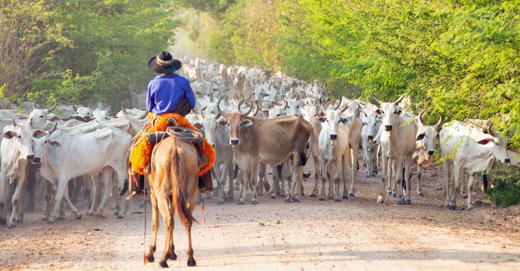 COMMERZBANK kaufen Kz. 28 € 1325998