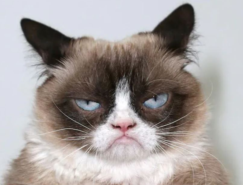 Dax & Co. - deutsche Aktien ins Depot! 1327577