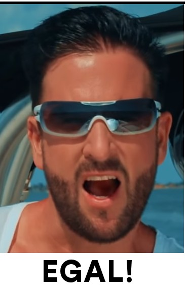 Wirecard 2014 - 2025 1162388