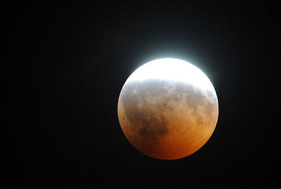 Die Bullen scharren gar nicht mit den Hufen, 181825