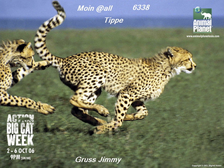 740.DAX Tipp-Spiel, Montag, 10.03.08 153599