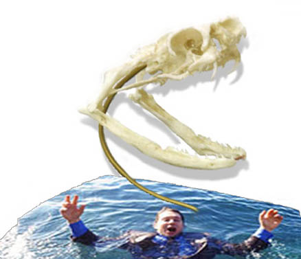 Cobracrest - Thema Übernahme 38571