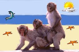 QSC vor Neubewertung 1119224