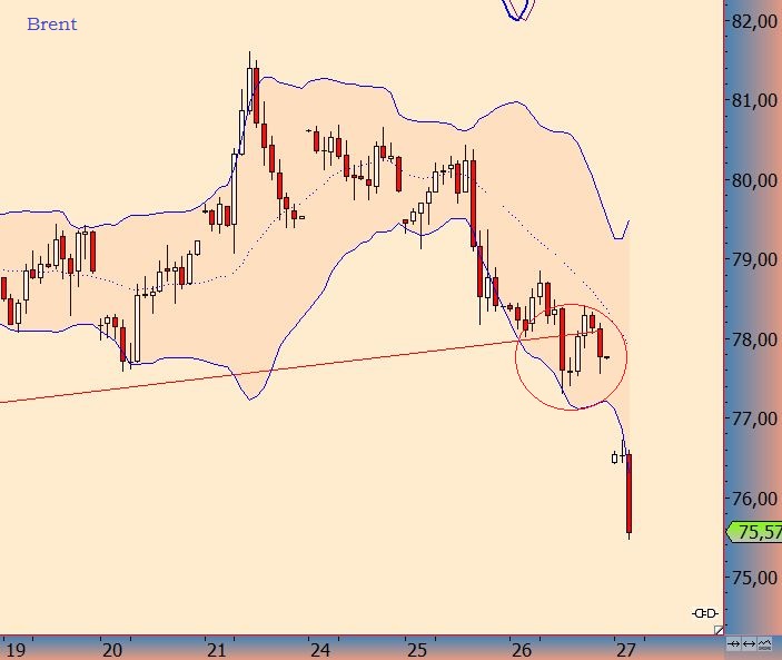 knock-outs unlimited 776690