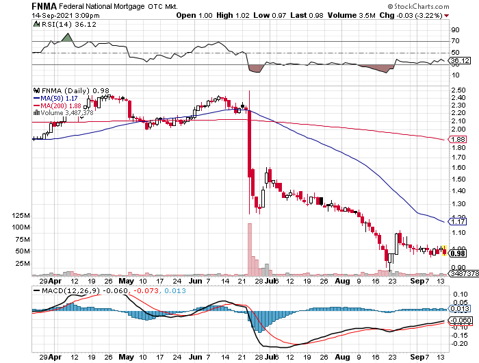 Fannie Mae - Chance auf Verdreifachung bis Juli 1274062