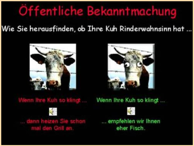 Q-Cells , der Solarzellenriese 481315